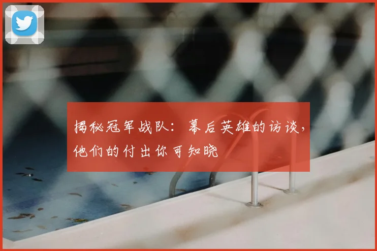 揭秘冠军战队:幕后英雄的访谈,他们的付出你可知晓