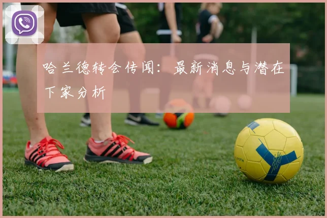 哈兰德转会传闻:最新消息与潜在下家分析