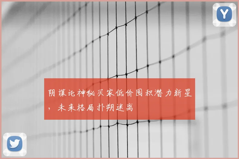 阴谋论神秘买家低价囤积潜力新星,未来格局扑朔迷离